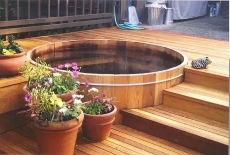 ������ �� ����: ��������� ���� ��� ������� ������