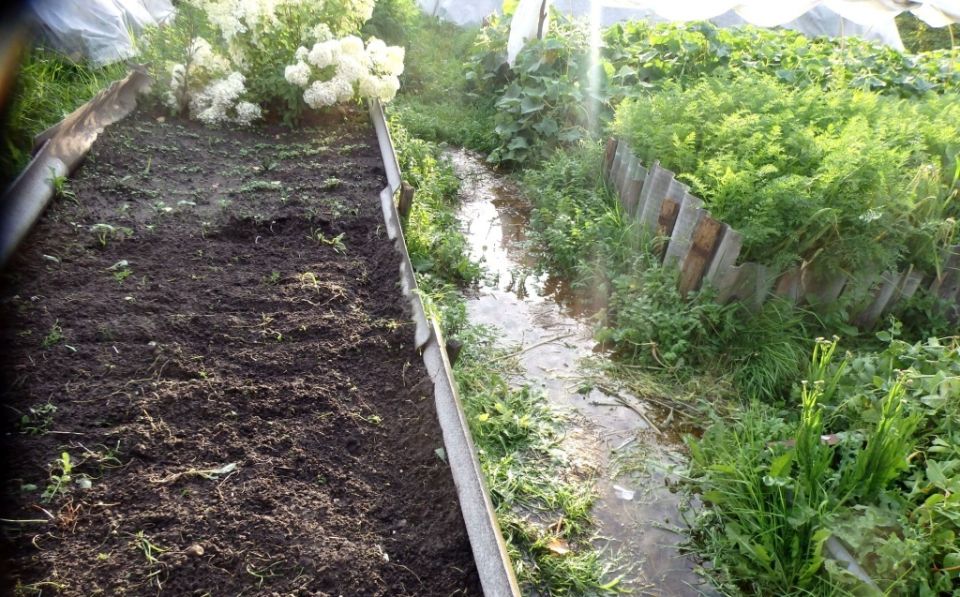 ��� �������� ������ �� ���������� ����: �������� ������ ��� ���������