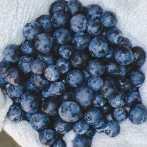 ��� ��������� ������ ����� �� ����������� �������: ������� ��������� ������