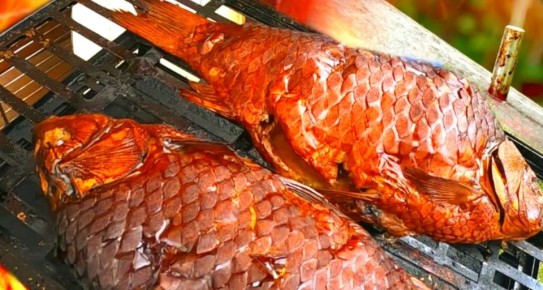 Как выбрать идеальную речную рыбу для копчения: рейтинг и секреты