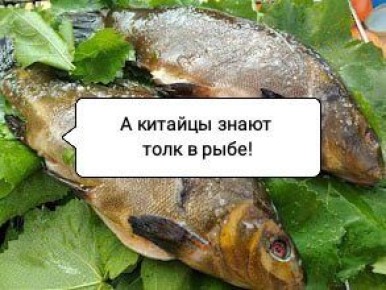 ������ ������ � ���� � ��� ��� ��������� �����? ������� ������� ���-�������