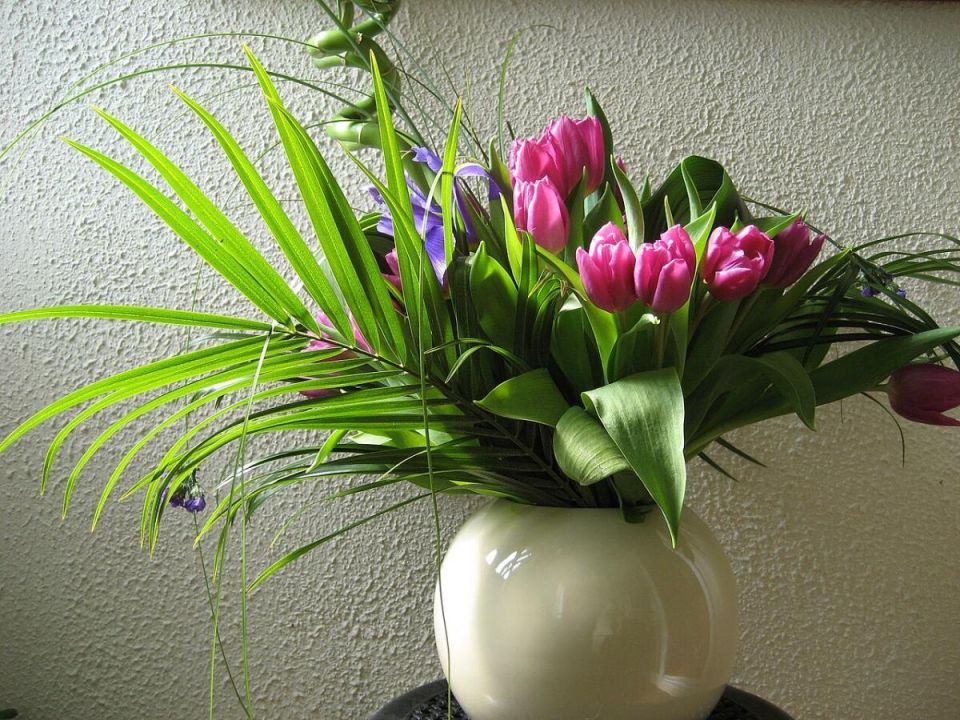 ��� �������� ����� ������ ������: ������� ���������� ��� ��������