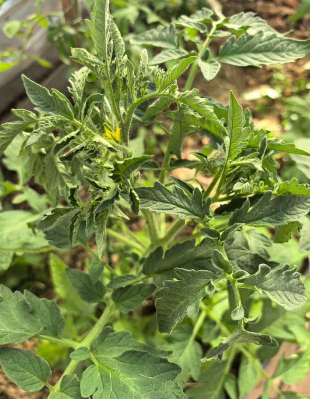 ��� ��������� ��������� �� �������� � �������: ������� ��������� �����������