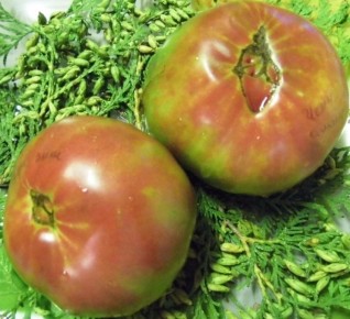 ����� ������ ������: ��� ��������� ������������ ������ ������ �������