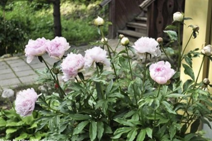 ������� ���� �� �������: ������� ���������� ������� � ���������