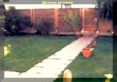 ��� ����������� ��������� �������: ���������� ���� �� ����������� ��������