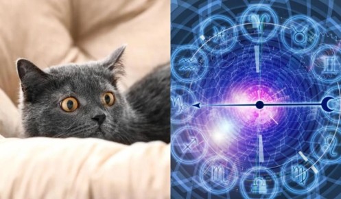 ����� �������� ����� ���������� �� ������ �������?