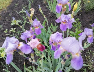 ��� ��������� ������ � ������������ ����� ������: ������ ��� �������� �������