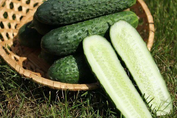 ������ �������: ��� ��������� ��������� ����� ���� � �������� ��������