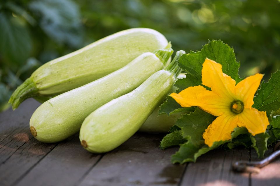 ������ ���������� ������: ��������� �������� ��� ������� ����