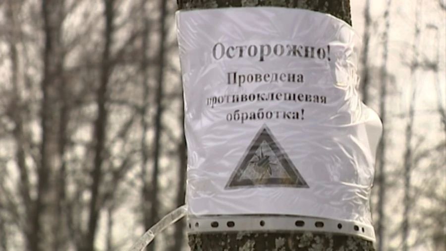 � ���������� ������ �������� ��������� ���������� �� ������