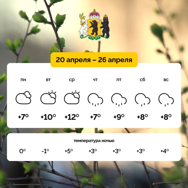 �� ���� ������ ��������� �����������