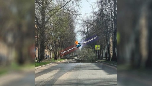 � ��������� ������ ����� �� ������ � ������ �������