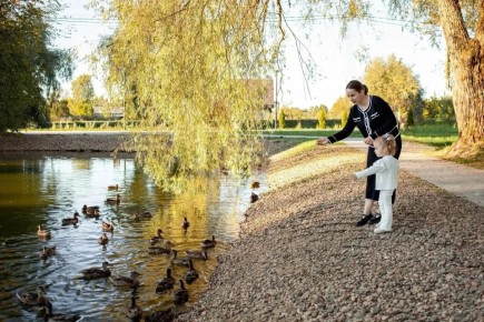 ������ ������: � ������ � ������ ������������� �� 2025 ��� ��������� ����������� ��������� ���� �������� ����������� �� ����� ���������������