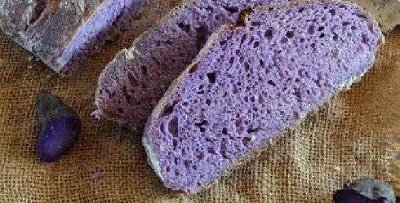 � �������� �������� ���������� ���������� ����