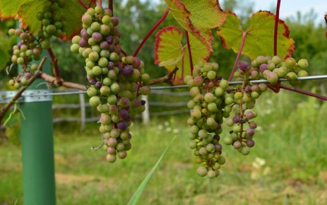 ���� �� ���������� � ����� ����: ������� ��������� ������