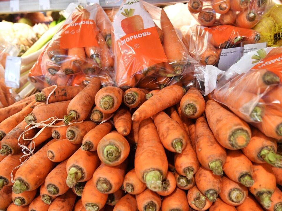 ���� �� ������� �����: ��� ��������� ����� ������ � �������� 2025 ����