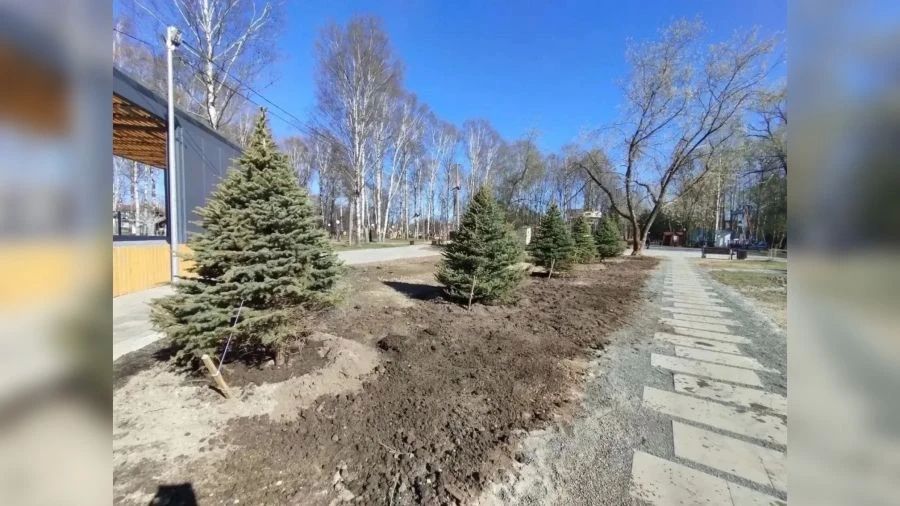 ���������� ��� � ��������� ���������� �� ���������� ����� ����������