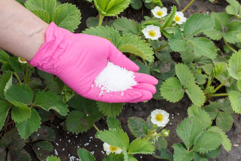 ��������� �������: �������� ����� � ������������