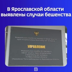 �� ������� ��� ����������� ����������� � 3 �������� � ���� ����� � ����� ����� ����