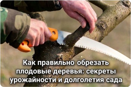 ������� ���������� ������� �������� �������� ��� ��������� ������