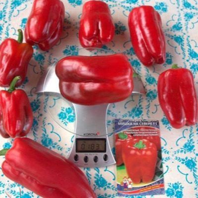 ����� ����� �� ������: ��������� ����� ��� �������� ���������