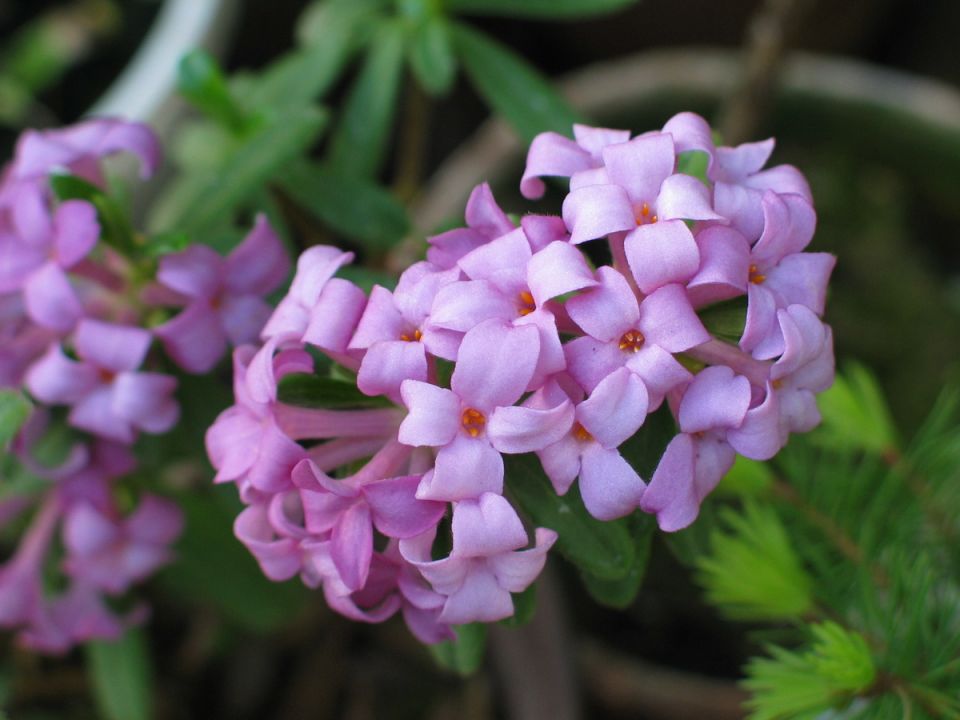 �����: ��������� �� �������� � �������������