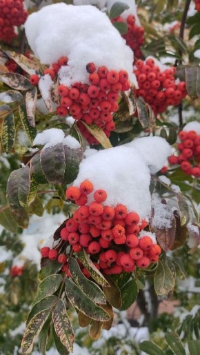 ���������� ������: ��� ������������ ����� �����