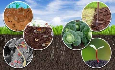 ��� ���������� ��� ����� ������ �������������: �������� ������� ���������