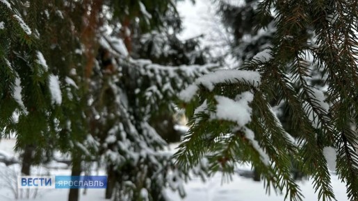 ������ ����, ���������!. ����� ������ ������� ���������� ��� ������� � ������� �������� �����������, � ������ � ��� ����� ��������� � ���� ��������� ������ "�����" �������������: �������, ��� � ������� ����� ������� �������...