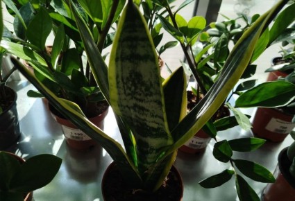 �����������: ������ 70 ����� ��� ������ ���������