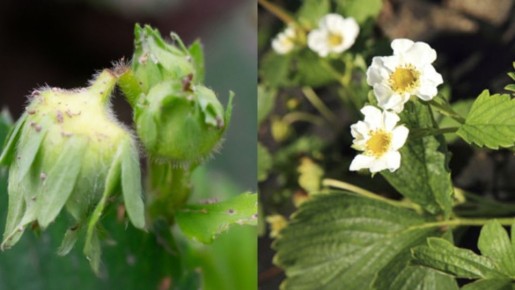 ��������� ��������: ������������� ������ ��� ������ � ���������� ������ �� 45%