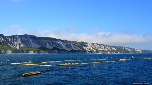 ���������� ������ ��������: ��� ���� ������� ������ �������