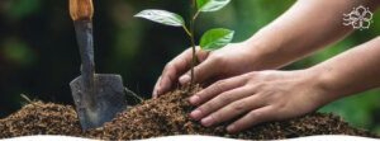 ����� ����������� ������� �������� �������� ������� � �������� �� �����������