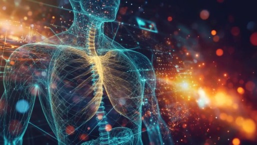 ��� ��������� �������� ���� � ������: ������������ ����������������