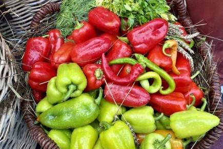 ������ ���: ��� ����� ���� ����� �������� �����