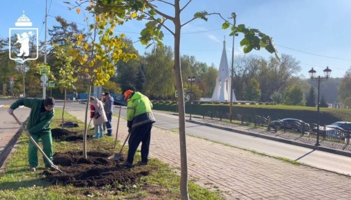 ��������� � ������ �����.