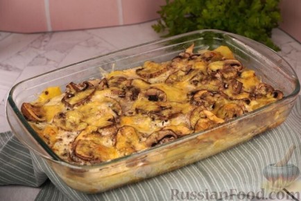 ������������ ���������: ���� ������� ������