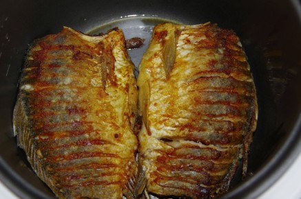 ������ ����: ���� ����� �� ������ �� ���������