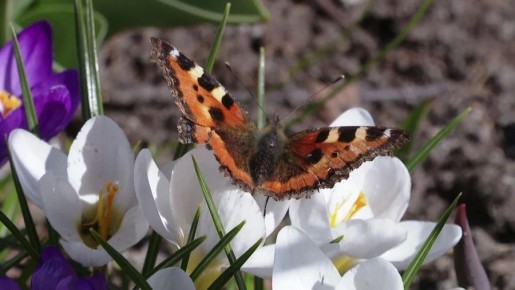 ��������, ���������!. �������� ������� ������ ������� � ����� � ������� ������� ��������� � ������������ �����