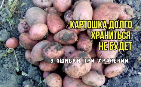 ����� �������� ��������: ��� �������� ���������������� ������