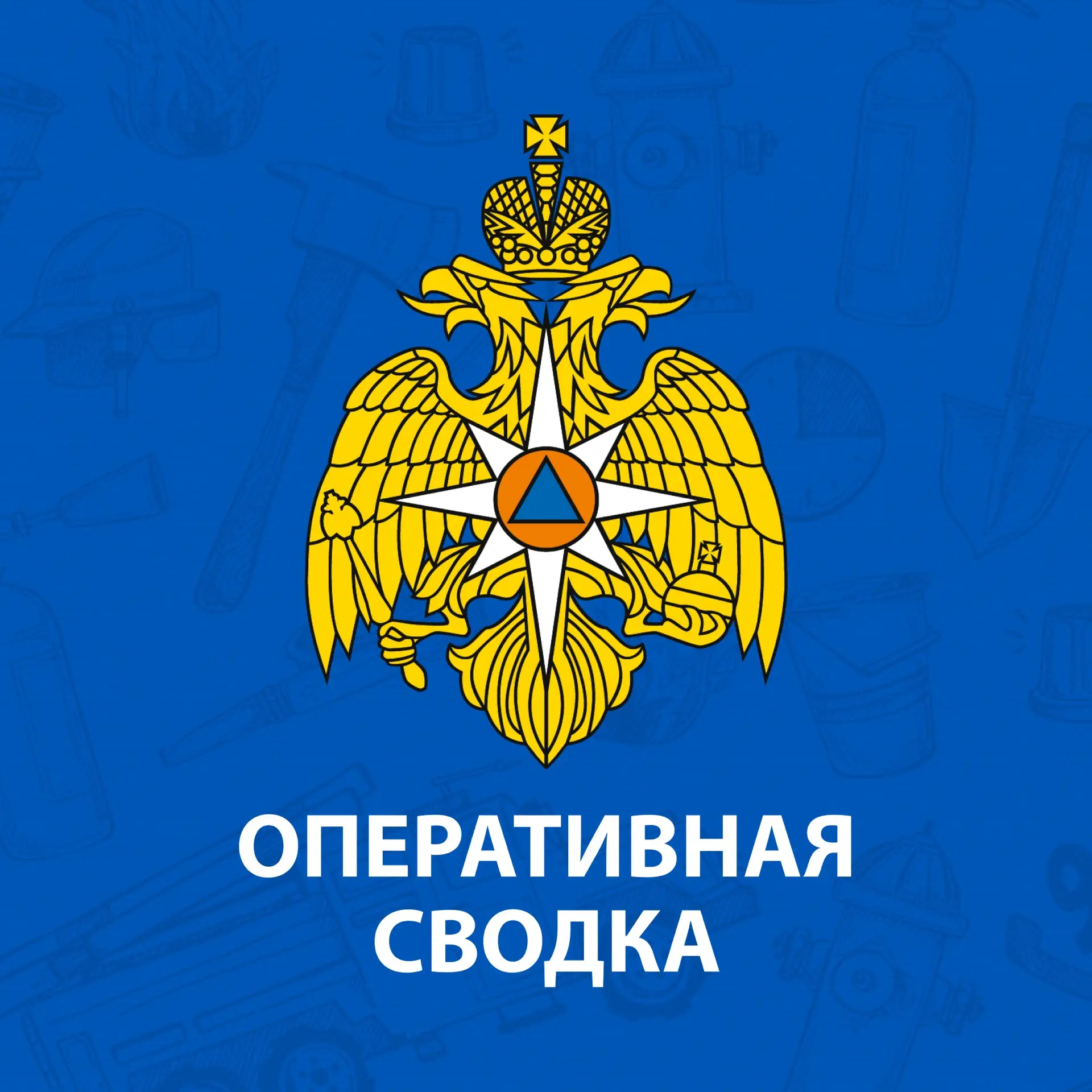 В Ярославской области за прошедшие сутки 13 мая: