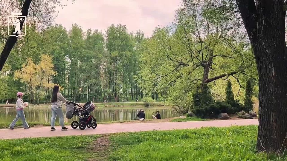 Какой хороший день, чтобы прогуляться в городском парке!