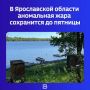 � ����������� ������� ���������� ���� ���������� �� �������