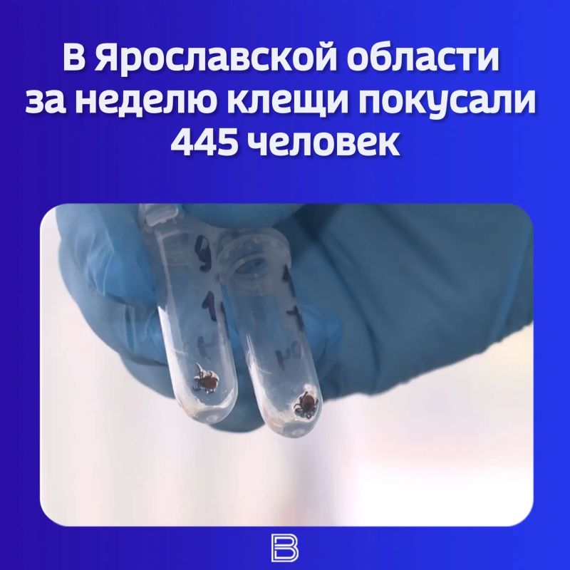 Статистику за период с 4 по 10 мая опубликовал региональный Роспотребнадзор