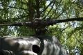 В Переславле-Залесском чайка свила гнездо на вертолете