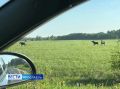 � ����� � ��������� ������ �����