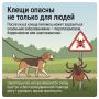 Как защитить питомца от клещей