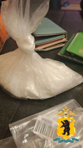 На территории Петропавловского парка оперативниками районного ОМВД задержана «закладчица» с синтетическим наркотиком На территории Петропавловского парка оперативниками районного ОМВД задержана «закладчица» с синтетическим наркотиком