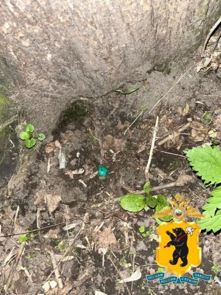 На территории Петропавловского парка оперативниками районного ОМВД задержана «закладчица» с синтетическим наркотиком